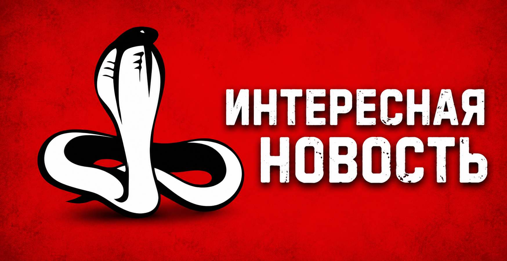 Ответы на вопросы клиентов